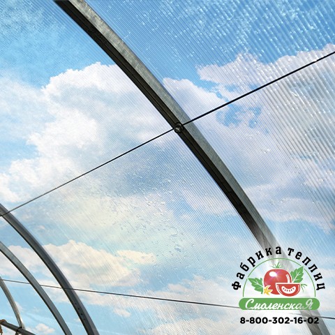 СИСТЕМА ПОДВЯЗКИ РАСТЕНИЙ