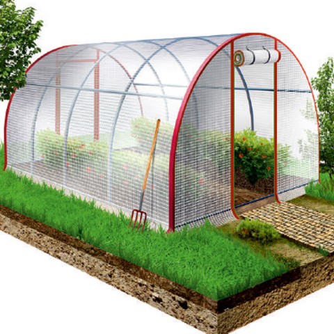 Теплица "ФЕНИКС"